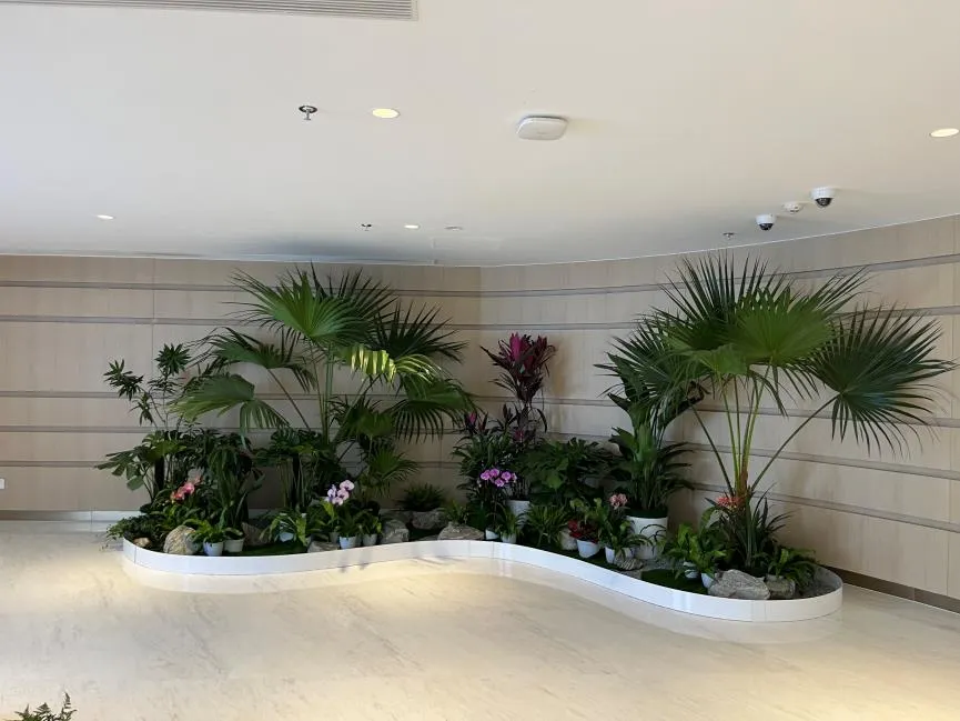 超惊喜！宁波奉化花木出租，服务好到爆！